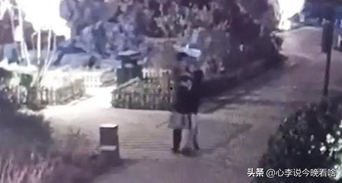 今日吃瓜视频完整版,揭秘幕后真相，带你领略娱乐圈风云变幻