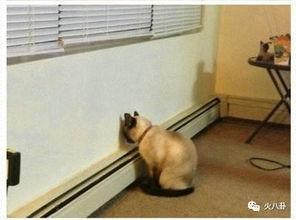 潜规则是什么意思 最有料官网