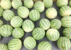 吃瓜真实爆料 今日吃瓜在线观看,揭秘热门事件，在线观看实时爆料