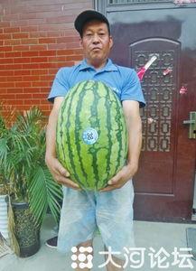 51今日吃瓜热门大瓜视频