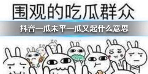 吃瓜--今日大赛完整版 吃瓜抖音,抖音热门挑战，今日精彩瞬间回顾