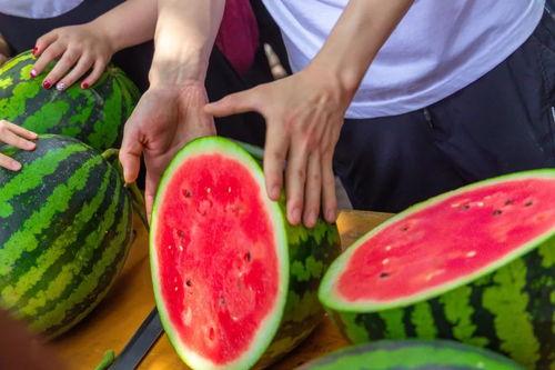 吃瓜长清大学体育生,校园生活新篇章